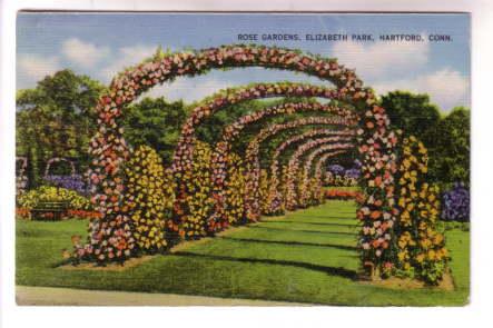 Rose Garden, Elizabeth Park, Hartford, Connecticut,