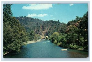 Vintage Rogue River Oregon Postcard P114E