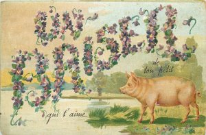 Emboss luck pig floral fantasy greetings vintage postcard France store publicity 