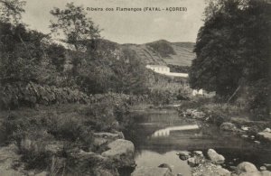 PC AZORES / PORTUGAL, RIBEIRA DOS FLAMENGOS, FAYAL, Vintage Postcard (B41218)