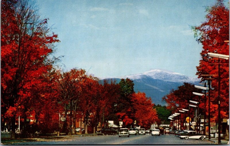 Vtg North Conway NH Main Street View Mount Washington Old Classic Cars Postcard
