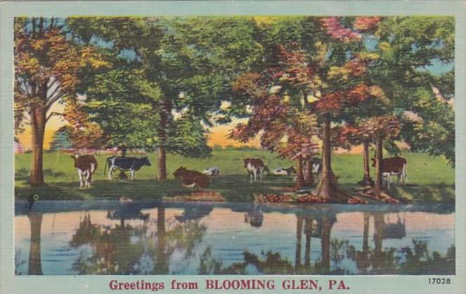 Greetings From Blooming Glen Pennsylvania Cattle Grazing Scene