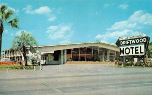 TALLAHASSEE, Florida FL    DRIFTWOOD MOTEL  Roadside   ca1950's Chrome Postcard