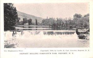 Deposit Milling Company's Dam New York  