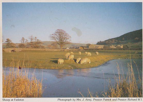 Farleton Sheep Farming Durham Womens Institute Postcard