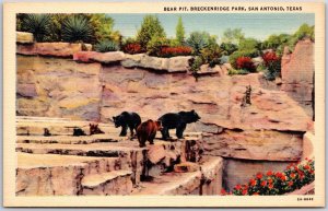 Bear Pit Breckenridge Park San Antonio Texas TX scenic Picturesque Spot Postcard