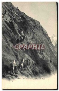 Old Postcard Chamonix Chevre not bad