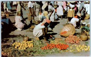 PORT au PRINCE, HAITI   Vegetable Vendor CROIX des BOSSALES MARKET   Postcard 