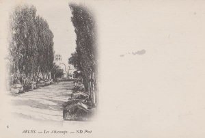 Arles Les Alicamps ND Photo Antique Drawing Painting French Postcard