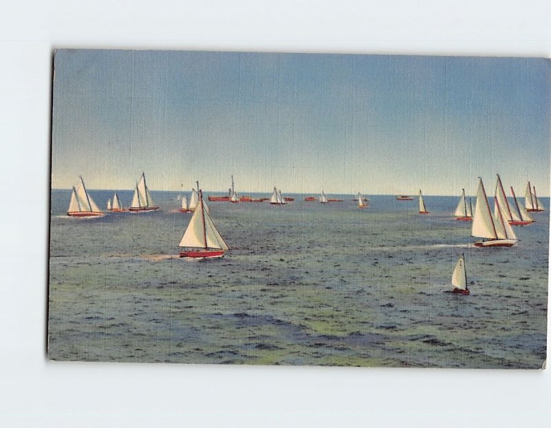 Postcard Sailing O'er The Bay, Florida