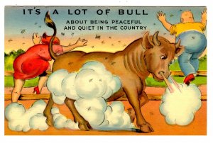 Humor - A lot of bull