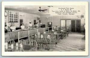Havre de Grace MD~Greyhound Bus Post House Diner~Wait Staff~Juke Box~1940s B&W 