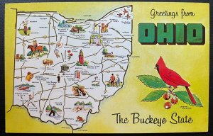 Vintage Postcard 1960-1970 Greetings from Ohio, The Buckeye State (OH)