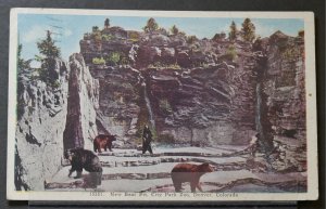 Denver, CO - New Bear Pit, City Park Zoo - 1940