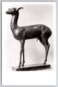 Naples National Museum Ancient Fawn Sculptor RPPC Postcard L49