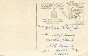 Entier Postal Stationery Postal Sri Lanka Ceylon Lion