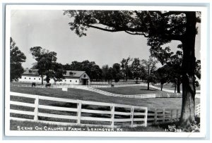 1955 Scene On Calumet Farm Lexington London Kentucky KY RPPC Photo Postcard