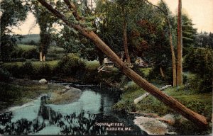 Maine Auburn Scene On Royal River 1914