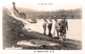 J65/ Moncton N.B. Canada RPPC Postcard c1940s Exaggertaion Giant Fish 192