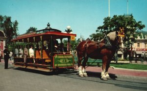 Disney Main Street Trolley Disneyland Dobbin Heading Plaza Horsedrawn Postcard