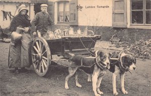 Belgium Laitieres flamandes Flemish Milk Maids Peasants Dog 1913 postcard B914