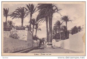 Presso Un 'Oasi, Libia, Africa, 1910-1920s