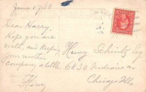 Wooster Lake Illinois scenic birds eye view along the shore antique pc BB3097