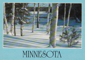 Minnesota Winter Scene