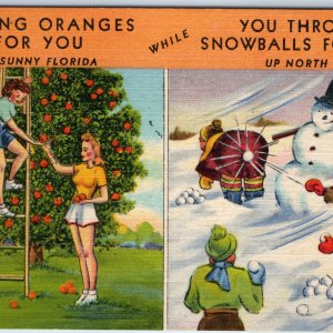 c1950s FL Picking Oranges in Sunny Florida while You Throw Snowballs Winter A224