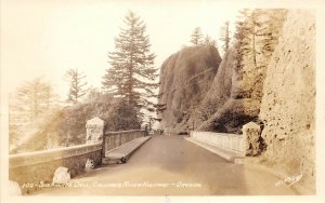 Columbia River Highway Oregon 1940s RPPC Real Photo Postcard Shepherds Dell