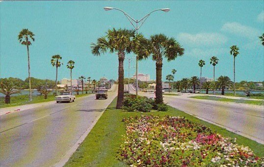 The Flowers And Palm Lined Causeway Connect's Clearwater WithClearwater ...