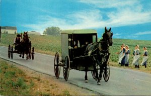 Pennsylvania Dutch Country Amish Family Carriage Followed By An Amish Courtin...