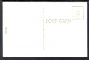 Ready For Lunch,Kitten in a Lunch Box,Cat BIN