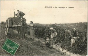 CPA AMBOISE Les vendanges en Touraine (809680)