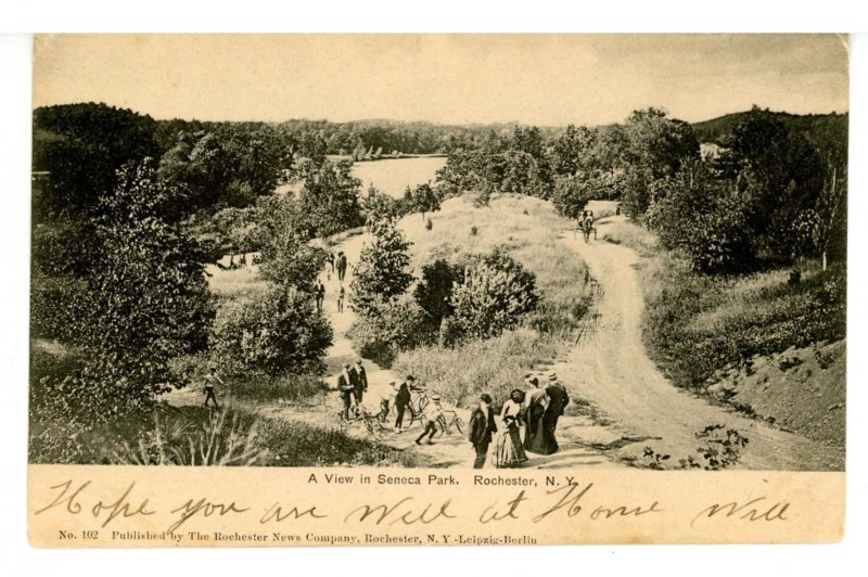 NY - Rochester. Seneca Park, General View