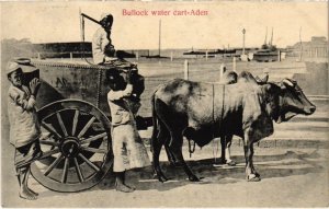 PC BULLOCK CART ADEN ETHNIC TYPES YEMEN (a32296)