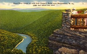 West Virginia Cheat River Gorge Seen From Cooper's Rocks Near Morgantown