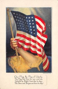 Our Flag  The Flag Of Liberty Writing on Back 