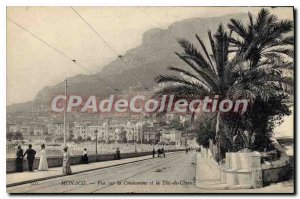 Old Postcard Monaco View Condamine and Dog Tete