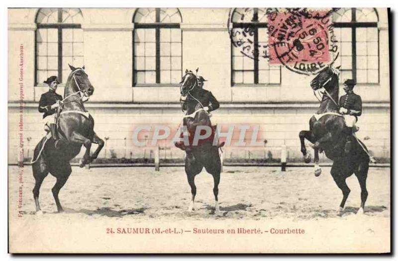 Old Postcard Saumur Horse Equestrian Jumper freedom in Courbette