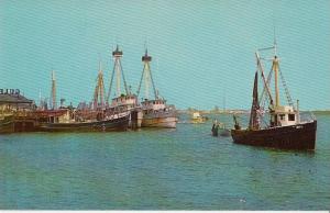 LP13  Cape May, New Jersey, NJ, postcard, Cold Spring Harbor