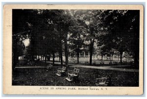 c1910's Scene In Spring Park Richfield Springs New York NY Antique Postcard