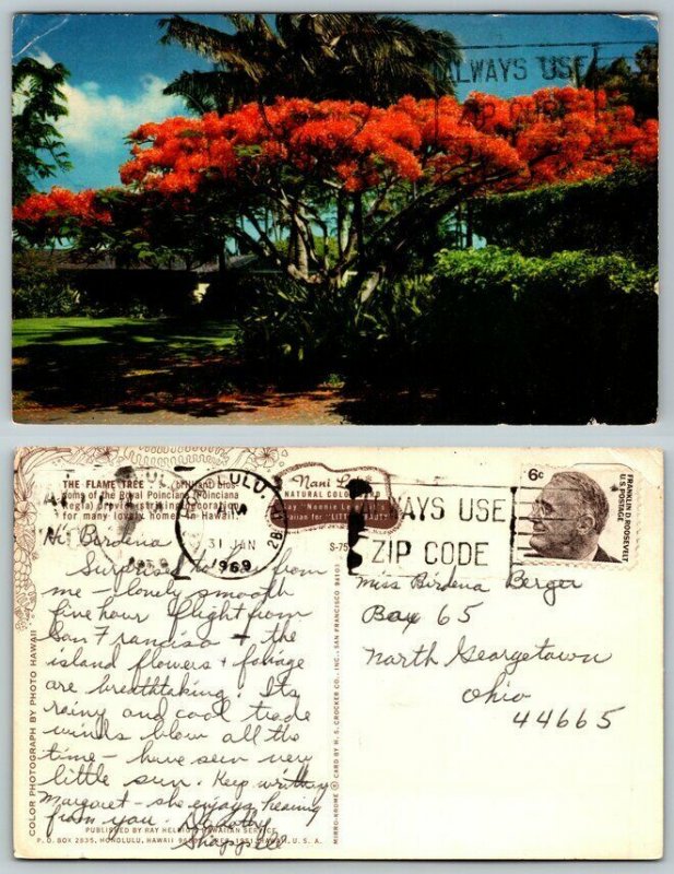 1969 The Flame Tree Honolulu,HI Hawaii Vintage Postcard