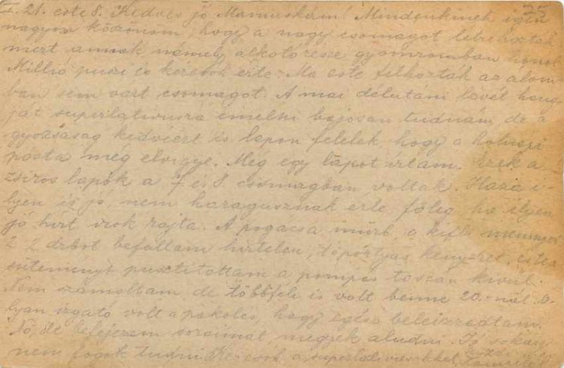 Integer Hungary Miltiaria