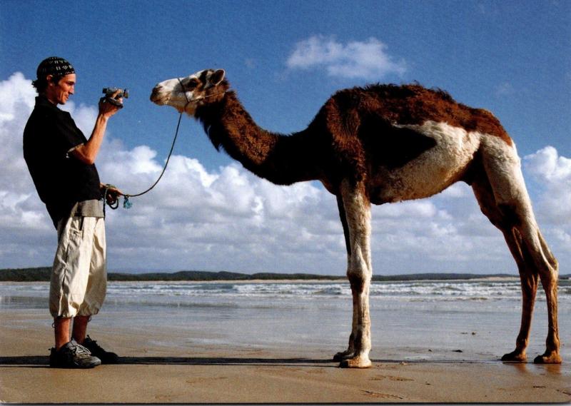 Advertising Silvertab Levis Camel Having Picture Taken