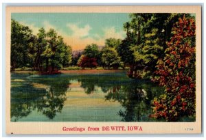 c1940 Greetings De Witt Iowa Banner Lake Trees Vintage Antique Unposted Postcard