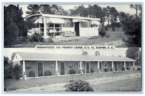 c1960's Trementozzi 15-A Tourist Lodge Scene Sumter South Carolina SC Postcard