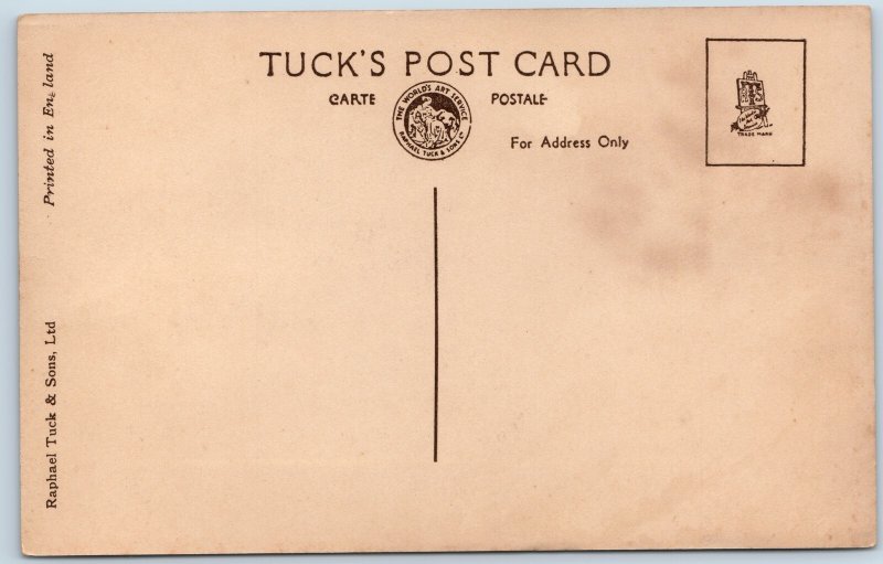 c1910s Shaldon, Devon The Strand Beach Front Row Houses Boats Postcard A36