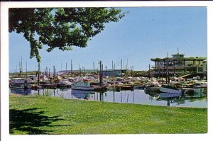 Oak Bay Marina, Victoria, British Columbia, Sailboats