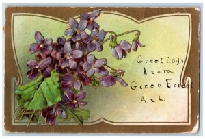 1910 Greetings From Green Forest Arkansas AR, Flowers Posted Antique Postcard